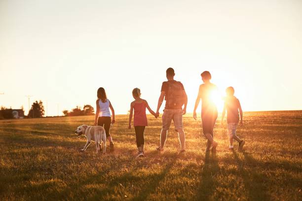 istockphoto-1160742394-612×612 All Schools Consulting - Our Step-by-Step Process